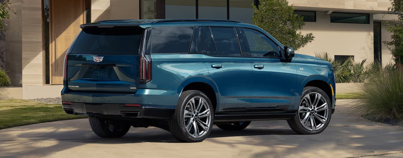 A rear view of a blue 2025 Cadillac Escalade in a driveway.