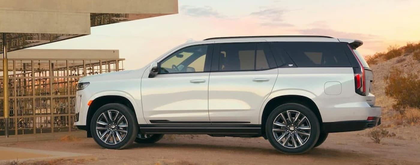 A white 2021 Cadillac Escalade parked offroad.