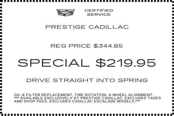 Drive Straight into Spring